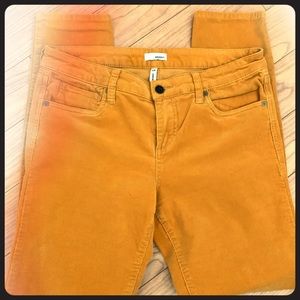 Edyson Hampton Skinny Mustard Yellow Corduroy Pant